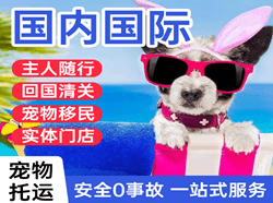 宁波栎社机场物流国际宠物托运 【国